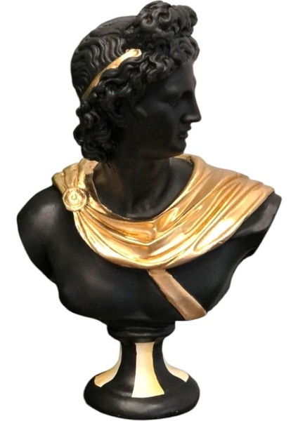 Dekoratif Apollo Büst modelleri