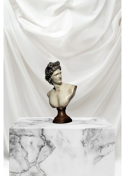 Dekoratif Apollo Büst