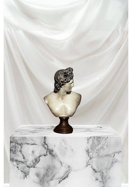 Dekoratif Apollo Büst fiyatları