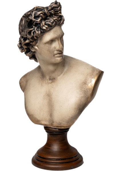 Dekoratif Apollo Büst modelleri