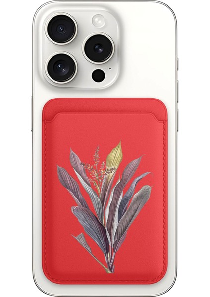 iPhone 11 12 13 14 15 16 17 Pro Max Plus Air Magsafe Mıknatıslı Kırmızı Kartlık Fruticosa