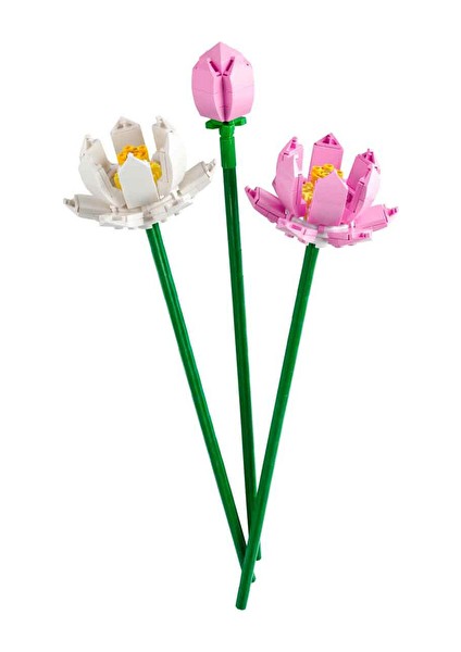 3 Adet Flowers Lotus Çiçeği LFL40647