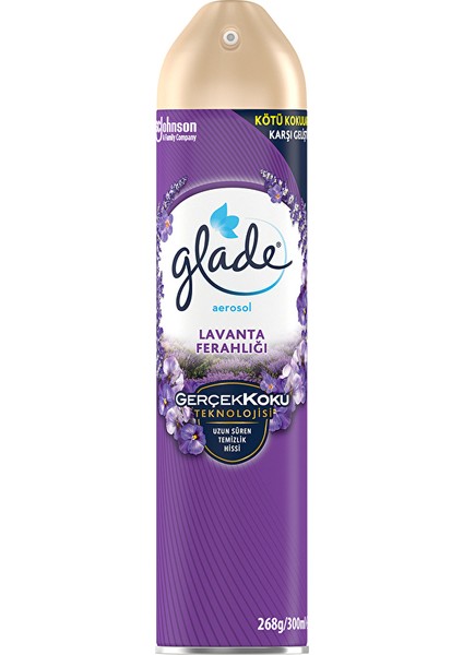 3 Adet Oda Kokusu Aerosol 300 ml Lavanta Ferahlığı