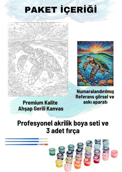 Büyükdenizkaplumbağa fiyatları