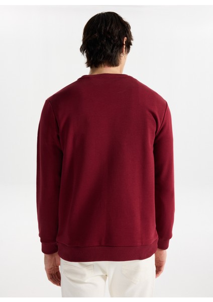 Bisiklet Yaka Bordo Erkek Sweatshırt M4WM-SWT-1982 indirimleri