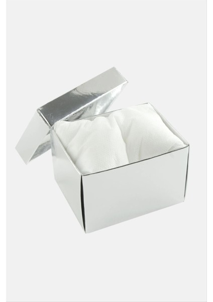 Gümüş Renkli Kapaklı Saat Kutusu