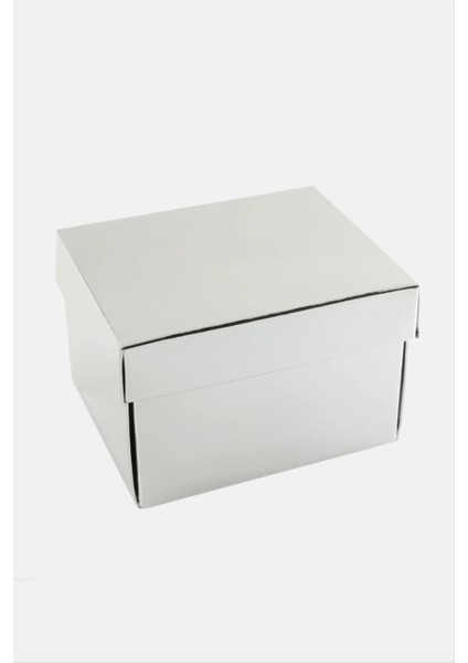 Gümüş Renkli Kapaklı Saat Kutusu fiyatları