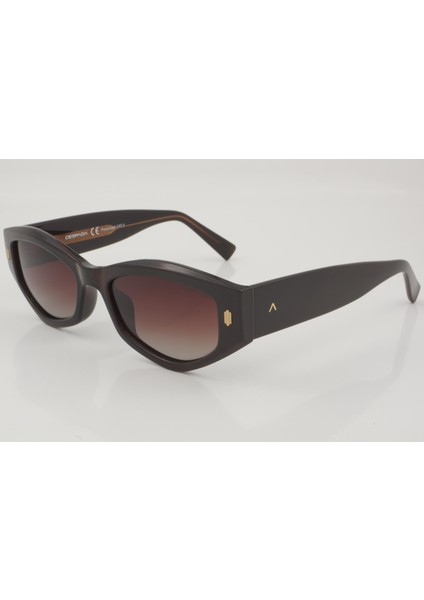 Ds 2457 C3 54 - 01 Güneş Gözlüğü fiyatları