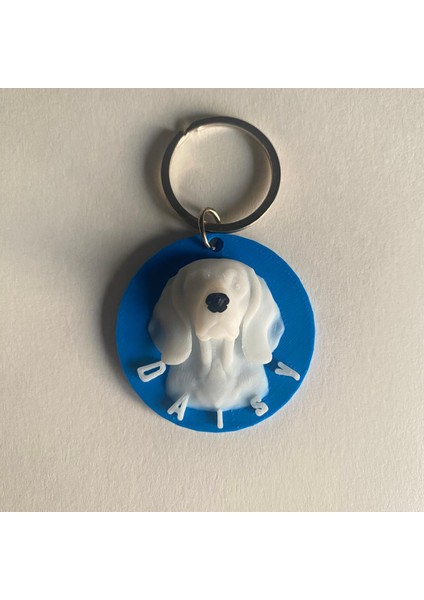 Testudo Lab Kişiye Özel Kedi & Köpek Künyesi — Sağlığa Zararsız Pla, Isim ve Telefon Numarası Seçeneği