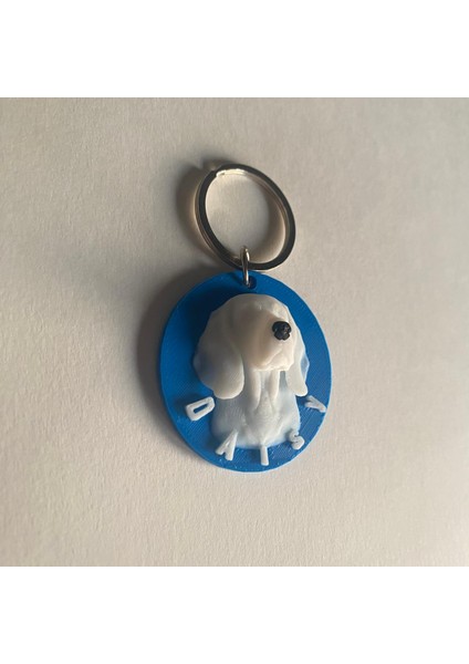 Testudo Lab Kişiye Özel Kedi & Köpek Künyesi — Sağlığa Zararsız Pla, Isim ve Telefon Numarası Seçeneği fiyatları