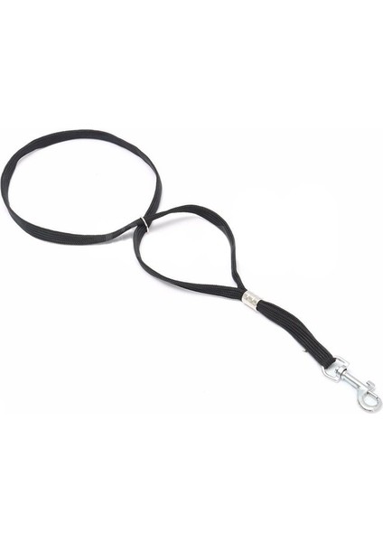 Köpek Evcil Hayvan Kedi Hayvan Ilmek Döngü Kilit Klipsi Halat Bakım Masası Kol Banyosu 52CM (Yurt Dışından) fırsatları