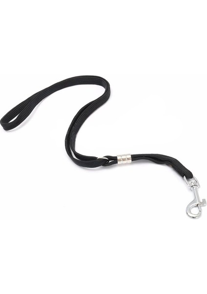 Köpek Evcil Hayvan Kedi Hayvan Ilmek Döngü Kilit Klipsi Halat Bakım Masası Kol Banyosu 52CM (Yurt Dışından) indirimleri