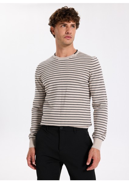 Bisiklet Yaka Slim Fit Çizgili Vizon Erkek Kazak F5WM-KZK 2306