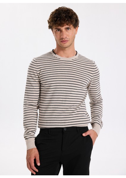 Bisiklet Yaka Slim Fit Çizgili Vizon Erkek Kazak F5WM-KZK 2306 fiyatları