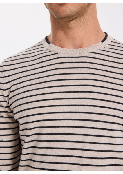 Bisiklet Yaka Slim Fit Çizgili Vizon Erkek Kazak F5WM-KZK 2306 fırsatları