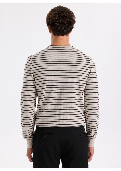 Bisiklet Yaka Slim Fit Çizgili Vizon Erkek Kazak F5WM-KZK 2306 indirimleri