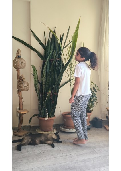 Kız Çocuk Pantolonlu Tişörtlü Takım Beyaz Tişört Pötikareli Pantolon Kırmızı, Siyah, Sarı