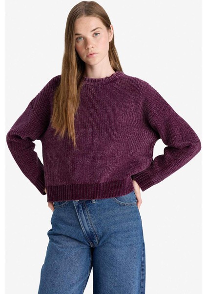 Regular Fit Bisiklet Yaka Şönil Kazak C6227AX25CW modelleri