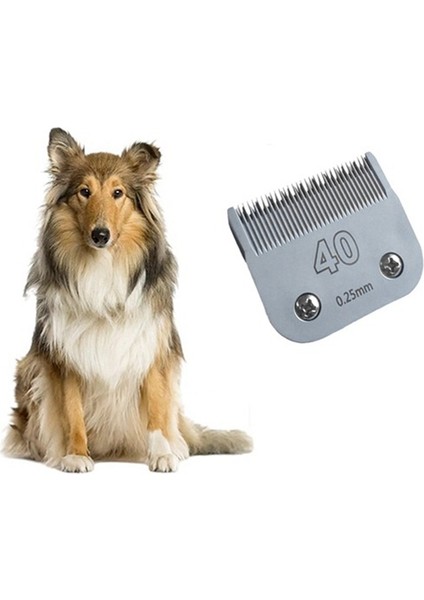 Çoğu A5, KM10 Serisi Tıraş Makinesi No.40 Için Çıkarılabilir Evcil Hayvan Köpek Bakım Tıraş Makinesi Seramik Bıçak Değişimi (Yurt Dışından) fiyatları