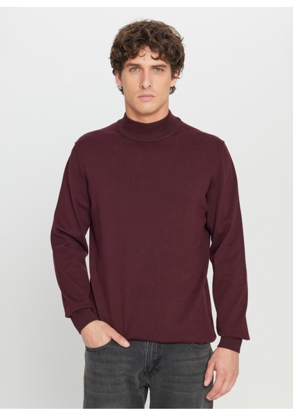 Yarım Balıkçı Yaka Standart Bordo Erkek Kazak ACE043261438_BRD