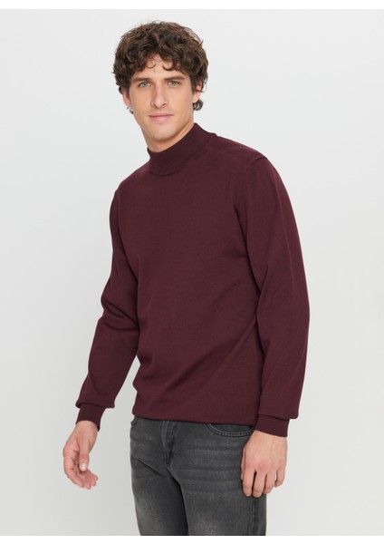 Yarım Balıkçı Yaka Standart Bordo Erkek Kazak ACE043261438_BRD modelleri