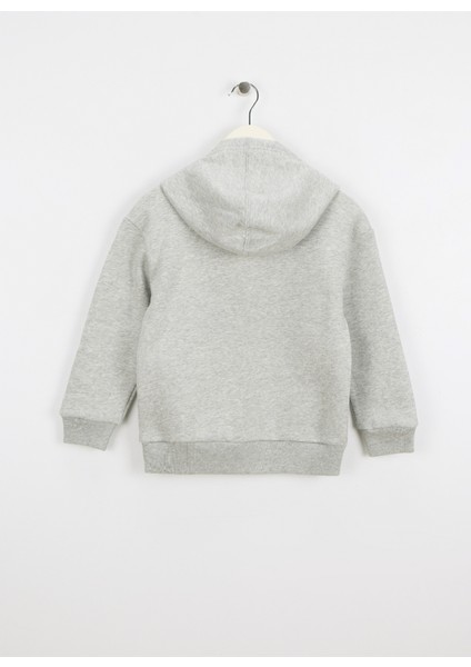 Baskılı Erkek Çocuk Gri Sweatshırt 825275000 fiyatları