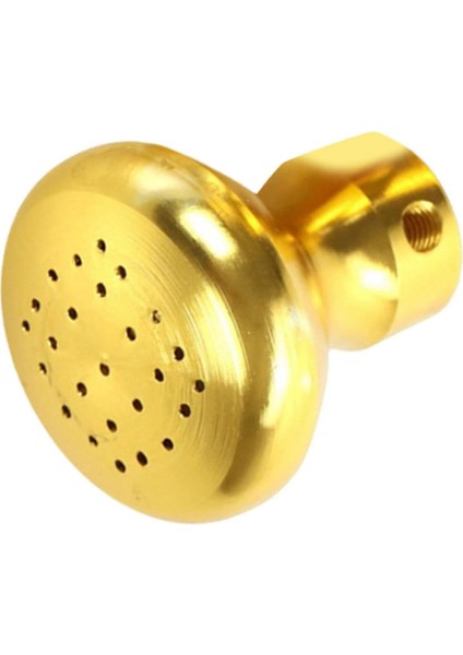 Diyapozon Körüğü Yedek Profesyonel Tutkun Vida ile Çıkarılabilir Çok Yönlü Koruyucu Diyapozon Ataşmanı B (Yurt Dışından)