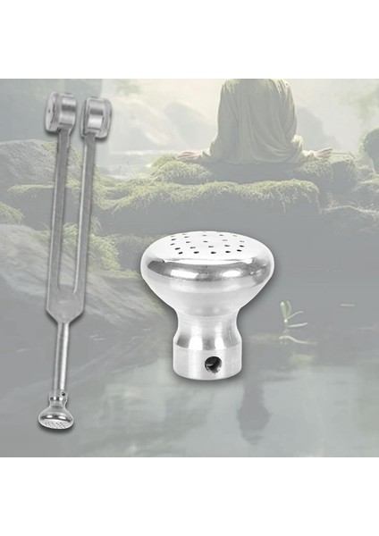 Diyapozon Körüğü Yedek Profesyonel Tutkun Vida ile Çıkarılabilir Çok Yönlü Koruyucu Diyapozon Ataşmanı A (Yurt Dışından) modelleri