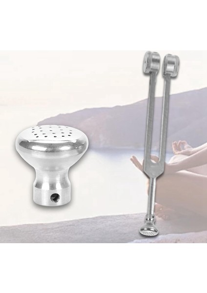 Diyapozon Körüğü Yedek Profesyonel Tutkun Vida ile Çıkarılabilir Çok Yönlü Koruyucu Diyapozon Ataşmanı A (Yurt Dışından) fırsatları