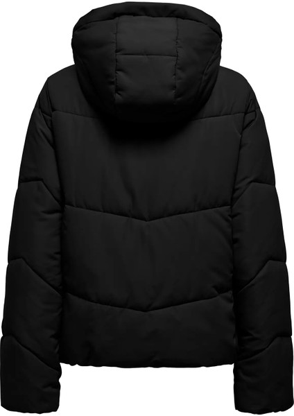 Kadın Onlmaggı Kapüşonlu Şişme Mont 15349123 Siyah fiyatları