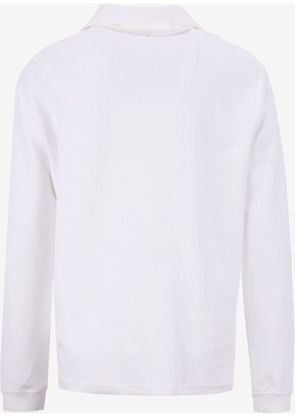 Dik Yaka Ekru Erkek Sweatshırt 261 Lcm 241039 Desona Ekru