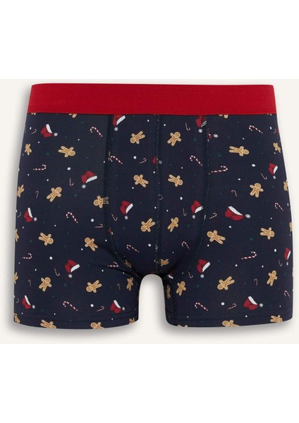 Yılbaşı Temalı Regular Fit Boxer E0041AX25WN