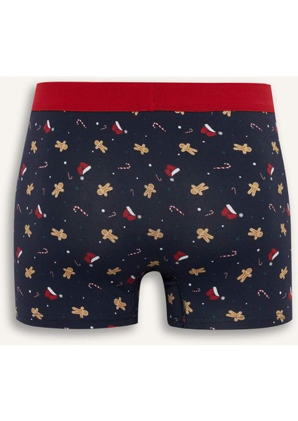 Yılbaşı Temalı Regular Fit Boxer E0041AX25WN fiyatları