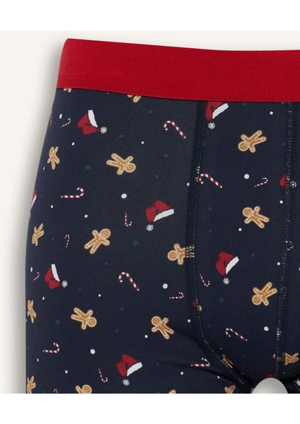 Yılbaşı Temalı Regular Fit Boxer E0041AX25WN modelleri