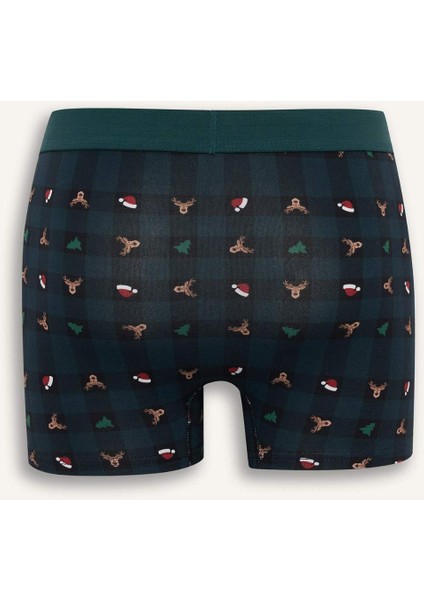 Yılbaşı Temalı Regular Fit Boxer F9924AX25WN fiyatları