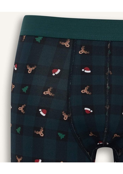 Yılbaşı Temalı Regular Fit Boxer F9924AX25WN modelleri