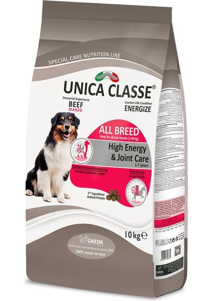 Yüksek Enerji ve Eklem Sağlığı Tüm Irklar Için Sığır Etli Köpek Maması 10KG