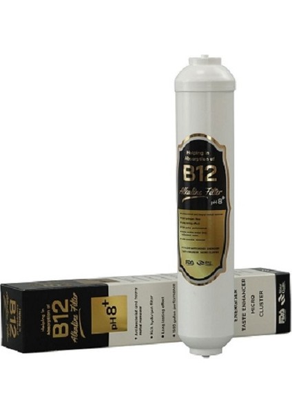 2" B12 Alkalin Filtre Su Arıtma Ph8+