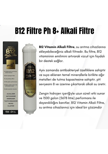 2" B12 Alkalin Filtre Su Arıtma Ph8+ fiyatları