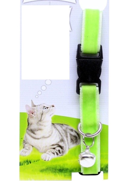 Ayarlanabilir Kadife Kedi Tassması + Tüy ve Toz Toplama Rulosu 2’li Set – Konforlu ve Temiz Ev H5K7M1 indirimleri