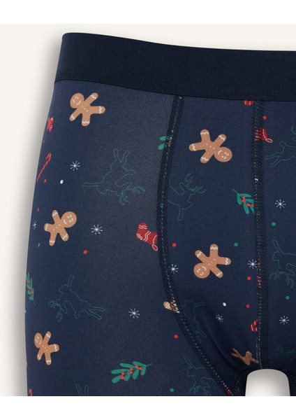 Yılbaşı Temalı Regular Fit Boxer F9939AX25WN modelleri