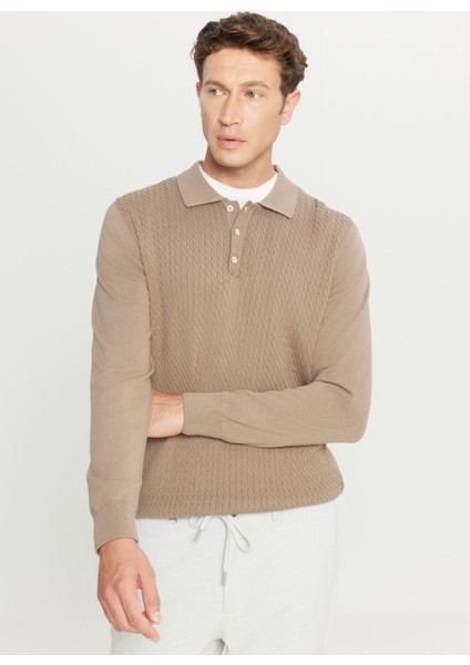 Polo Yaka Standart Vizon Erkek Kazak ACE049261279_VIZ