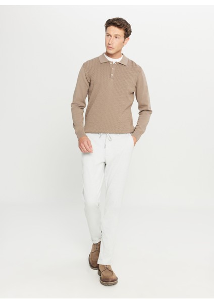 Polo Yaka Standart Vizon Erkek Kazak ACE049261279_VIZ fiyatları