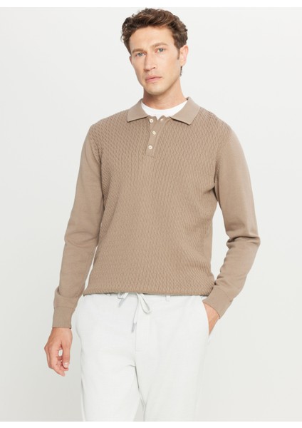 Polo Yaka Standart Vizon Erkek Kazak ACE049261279_VIZ modelleri