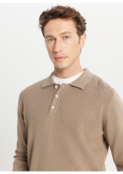 Polo Yaka Standart Vizon Erkek Kazak ACE049261279_VIZ fırsatları