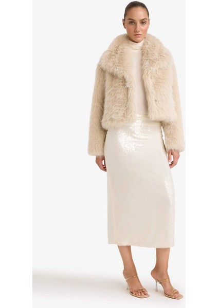 A Kesim Normal Bel Payetli Kumaş Etek G4363AX25AU indirimleri