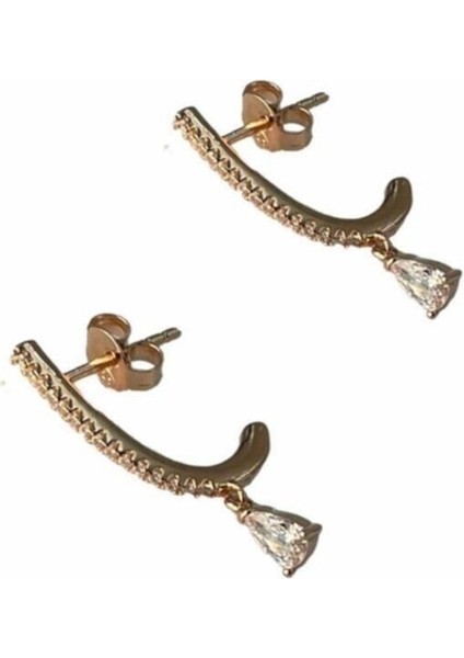 Mini Damlalı Küpe fiyatları