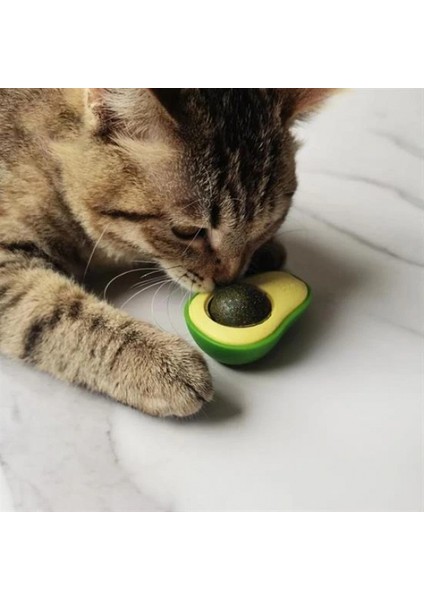 Avokado Model Yapışkanlı Kedi Oyuncağı Yenilebilir Kedi Nanesi Otu (5324) fiyatları