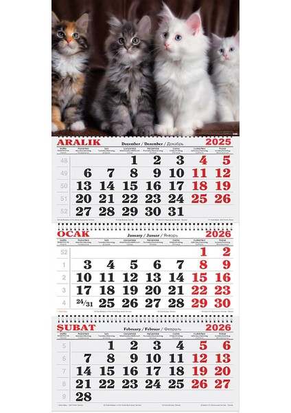 2026 Yılı Gemici Takvimi-Şaşkın Kediler