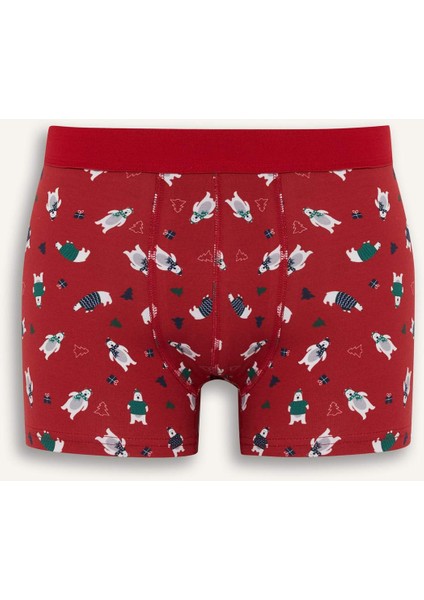 Yılbaşı Temalı Regular Fit Boxer F9937AX25WN